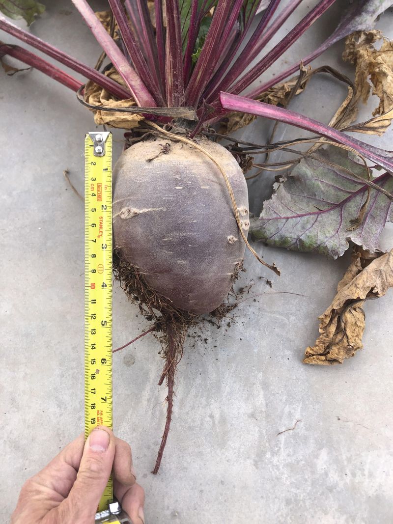 Measure the root instead of reading the leaves Measure the root instead of reading the leaves