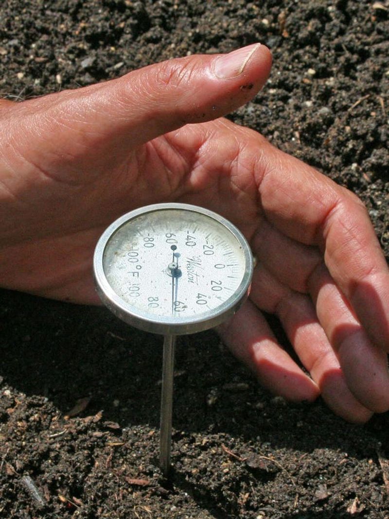 Measure the root zone instead of trusting a calendar date