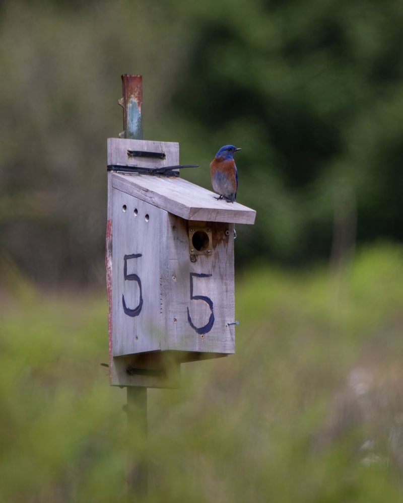 Monitor boxes and manage expectations