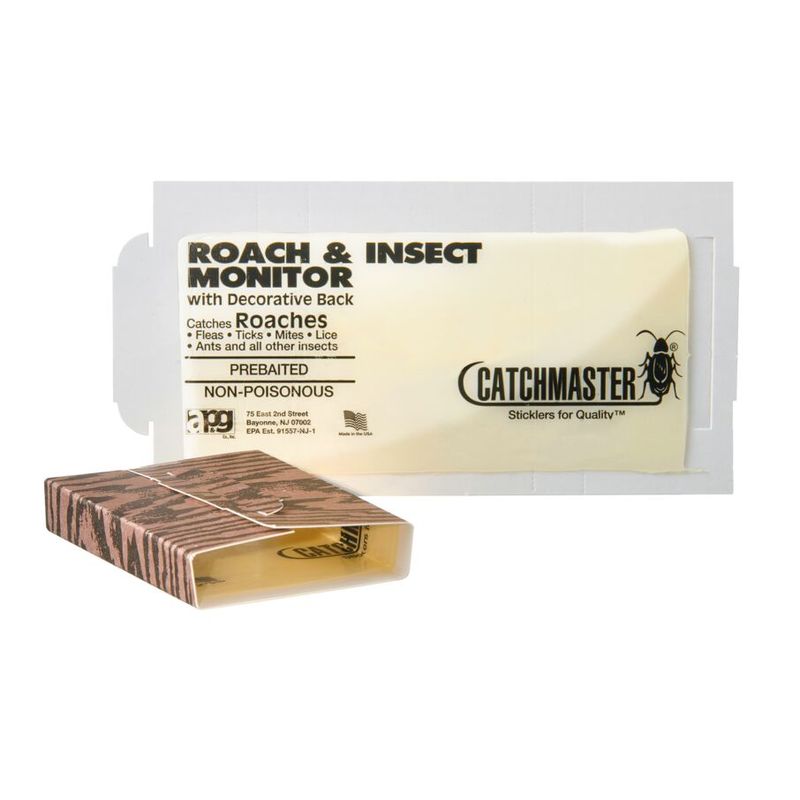 Monitor persistent cockroach activity and respond appropriately