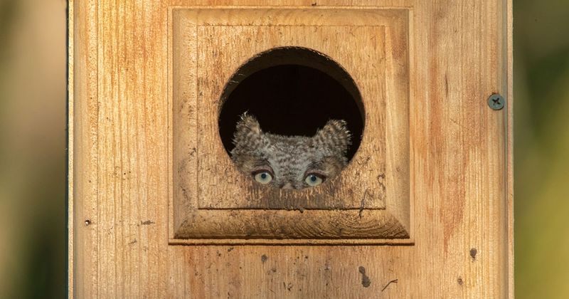 Monitor quietly and judge success realistically