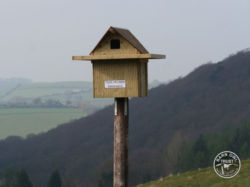 Mount the box high and away from household activity