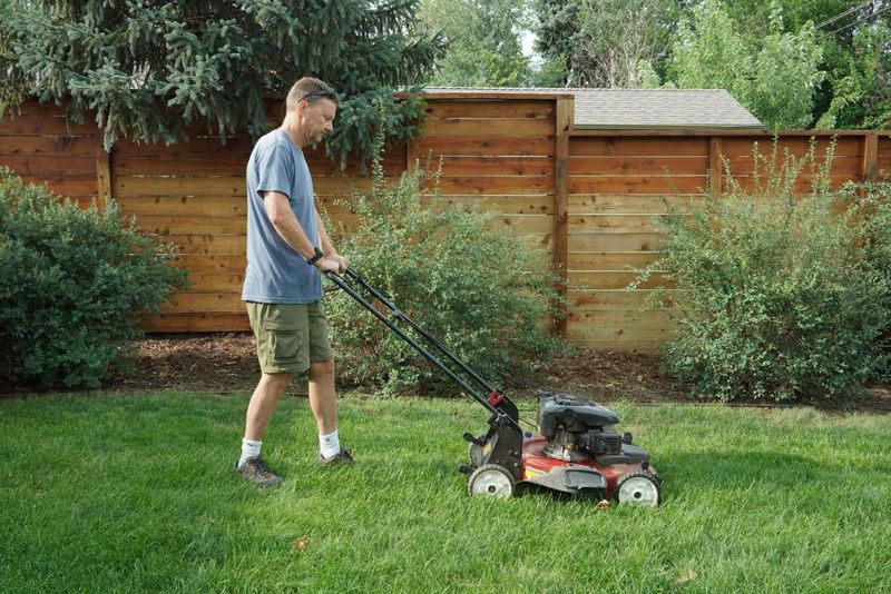 Mow Higher to Shade It Out Mow Higher to Shade It Out