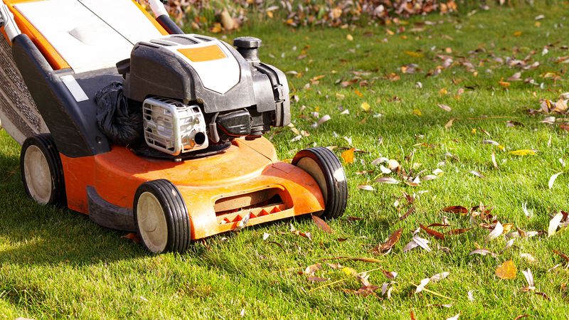 Mow dry and make enough passes