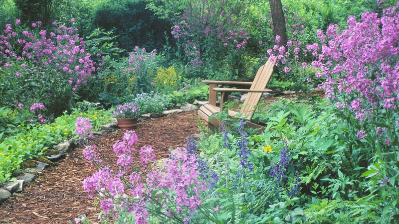 Mulch Paths: The Soft, Natural Look That Can Wander