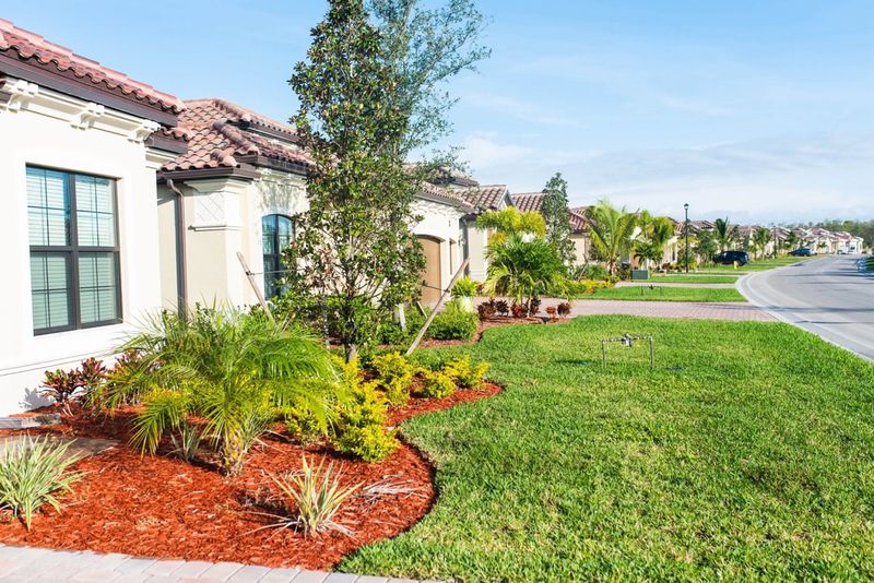 Mulch Piled Thick Against Shrubs