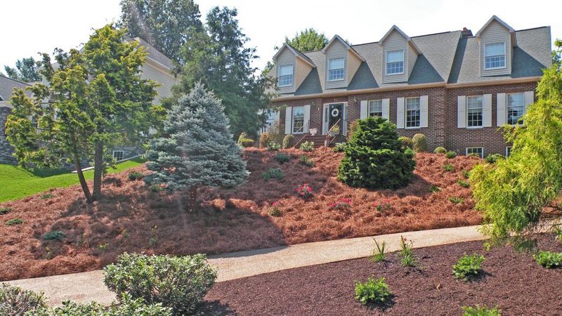 Mulch to Protect Roots Mulch to Protect Roots
