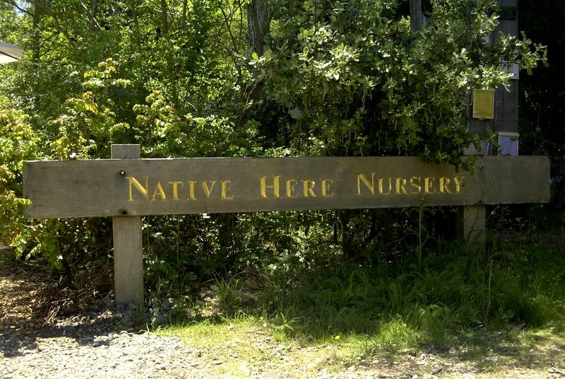 Native Here Nursery (Berkeley) Native Here Nursery (Berkeley)