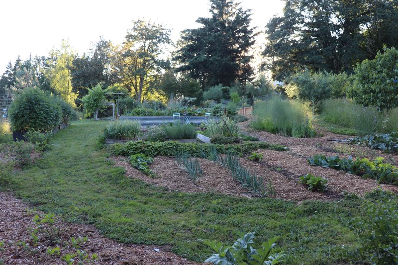 Nearby Vegetable Gardens Nearby Vegetable Gardens