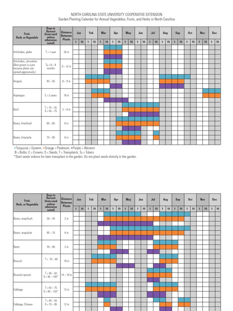 North Carolina garlic planting dates vary by region