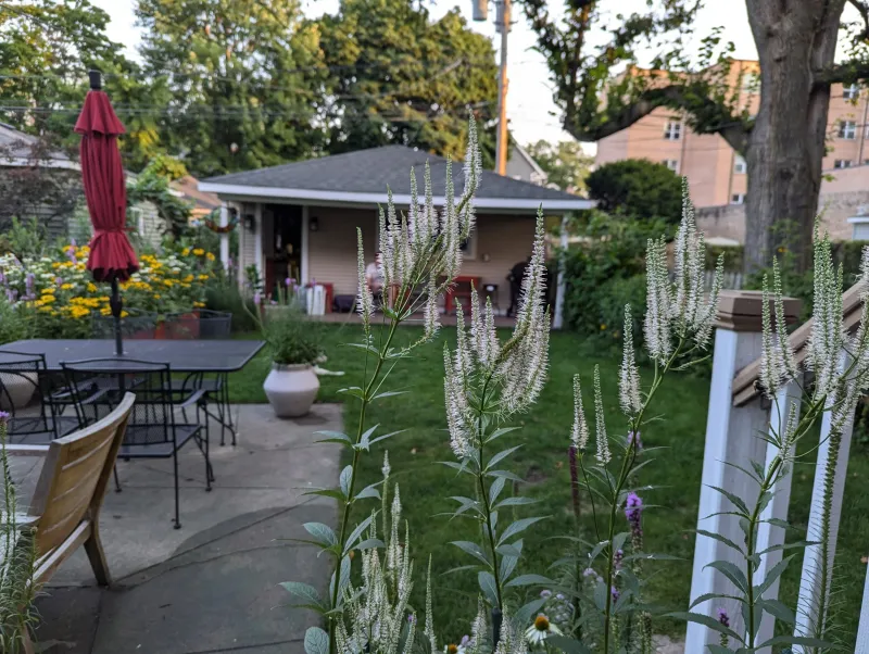 Open flyways between trees and garden edges