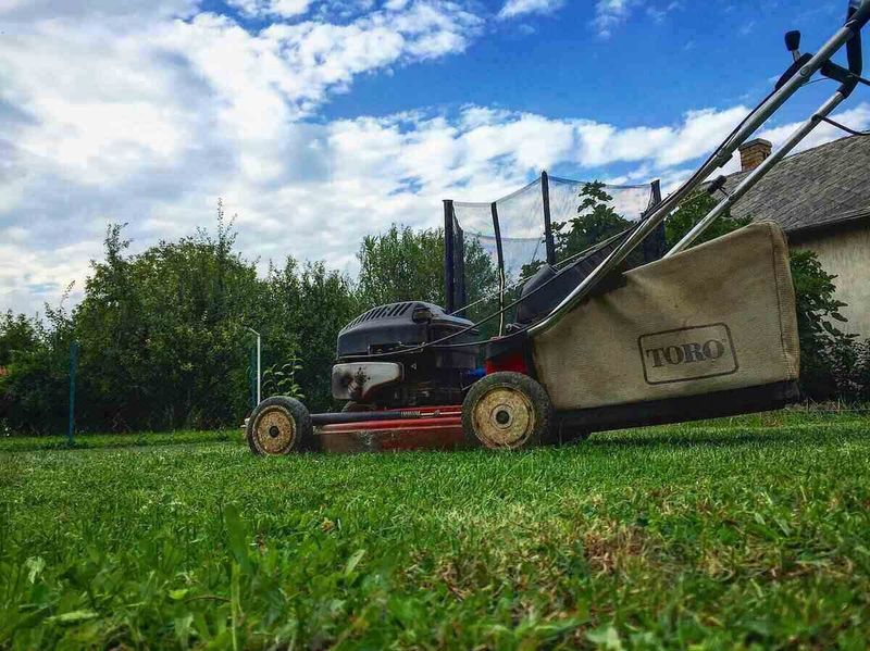 Open the Turf Without Damaging the Permanent Lawn