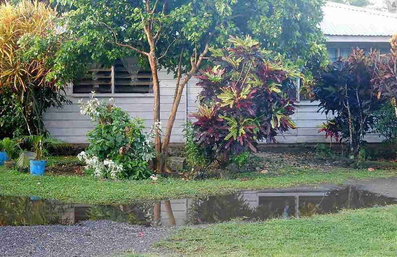 Overwatering Your Lawn and Beds