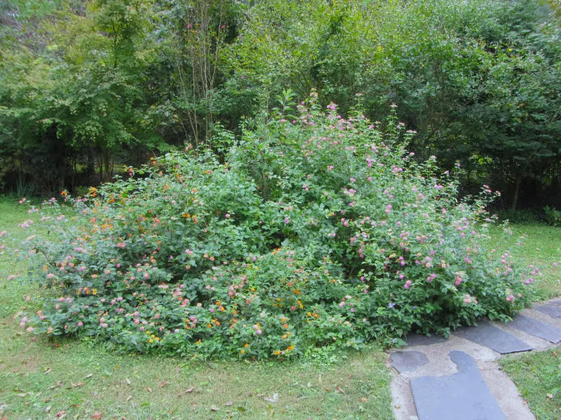 Piling On the High-Nitrogen Fertilizer
