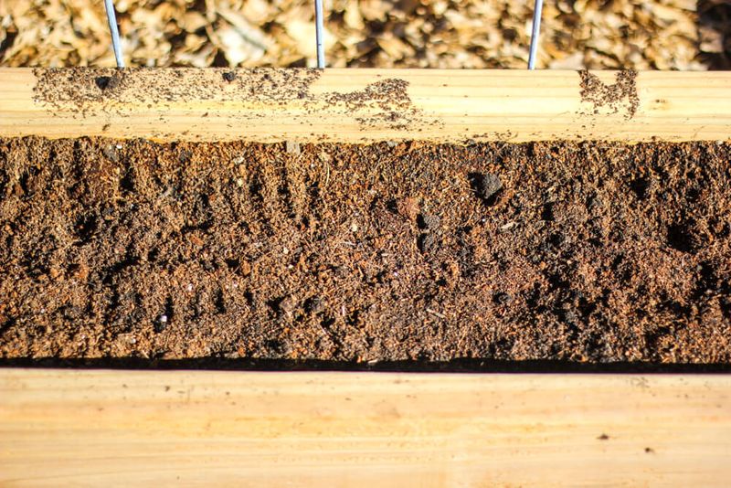 Pine Bark Fines