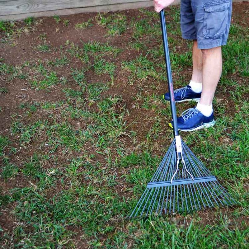 Place Seed Shallowly and Improve Contact Gently