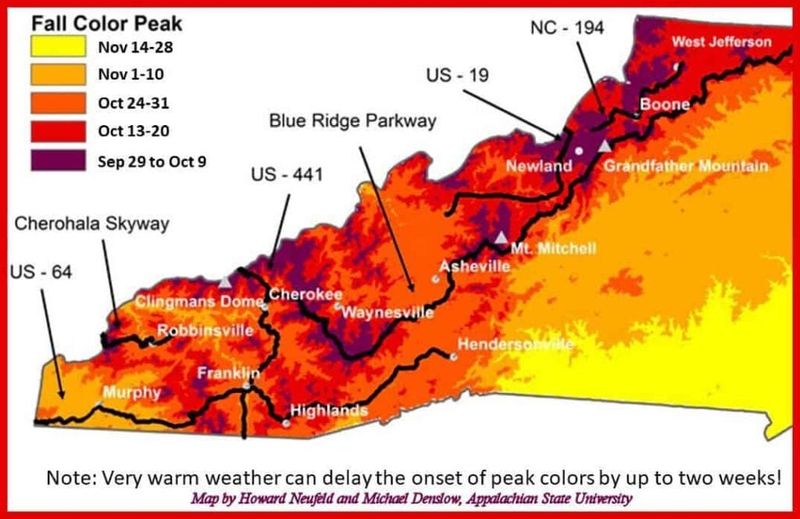 Plan by elevation and current local reports