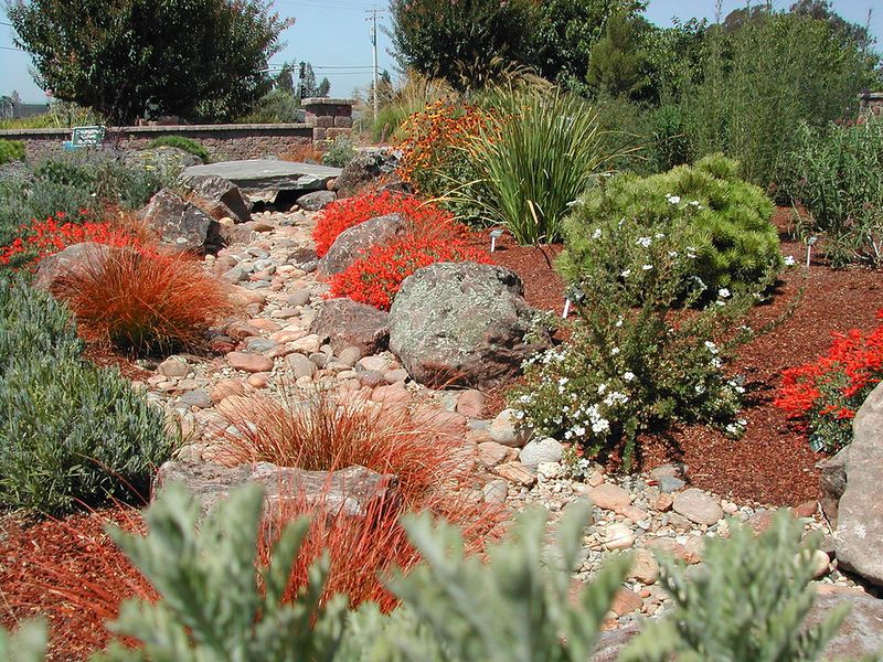 Plant habitat should decide the mulch