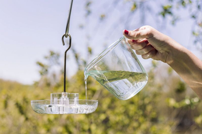 Pouring Hot Nectar Straight Into the Feeder Pouring Hot Nectar Straight Into the Feeder
