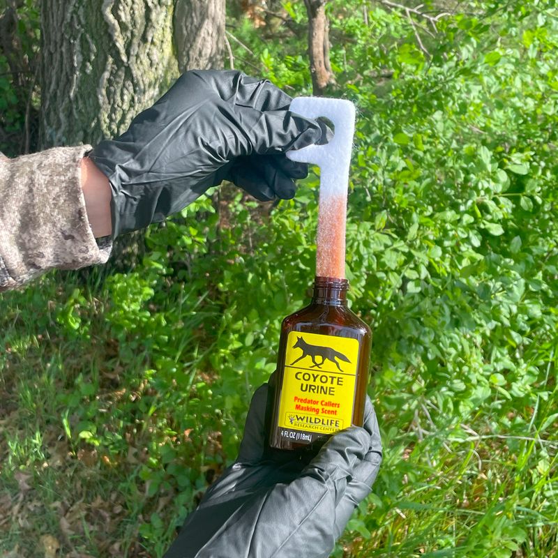 Predator Urine