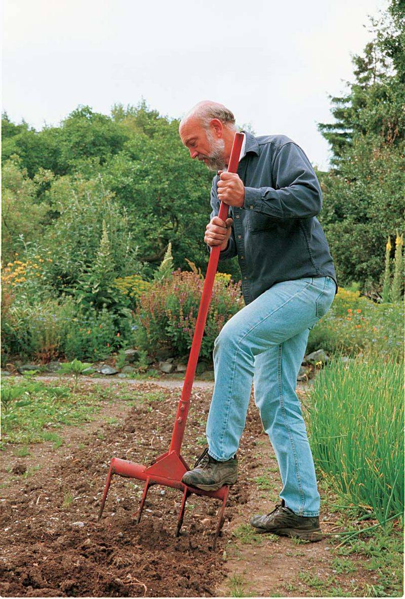 Prepare a deeper, cleaner path for the taproot Prepare a deeper, cleaner path for the taproot