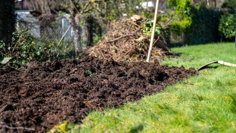 Prepare soil and seedbeds before planting season arrives