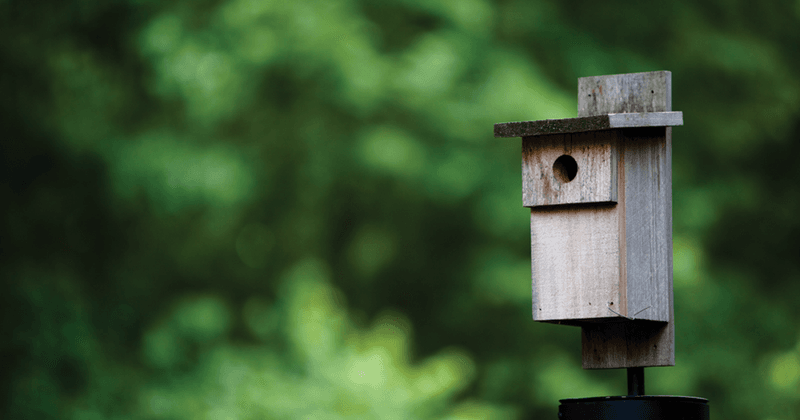 Prepare the box in fall without over-modifying it