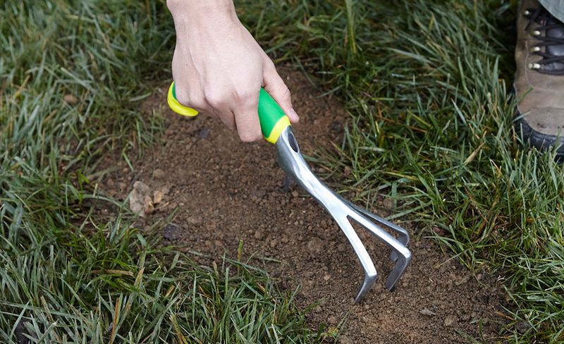 Prepare the site before putting down new turf