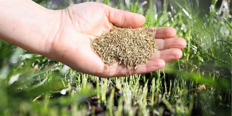 Prepare the smoothed surface for seed contact Prepare the smoothed surface for seed contact