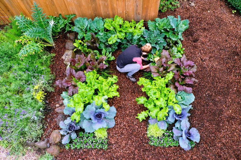 Prioritize Cool-Season Crops That Fit the Window Prioritize Cool-Season Crops That Fit the Window