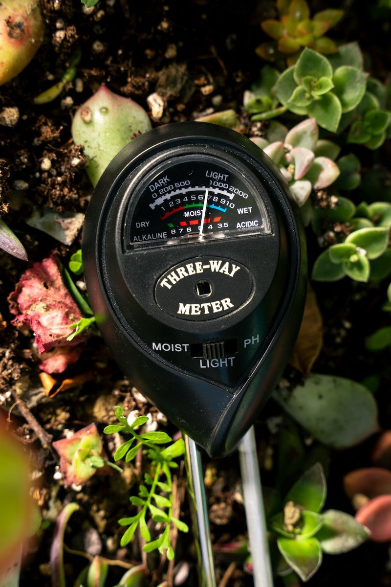 Probe the soil before turning on the irrigation