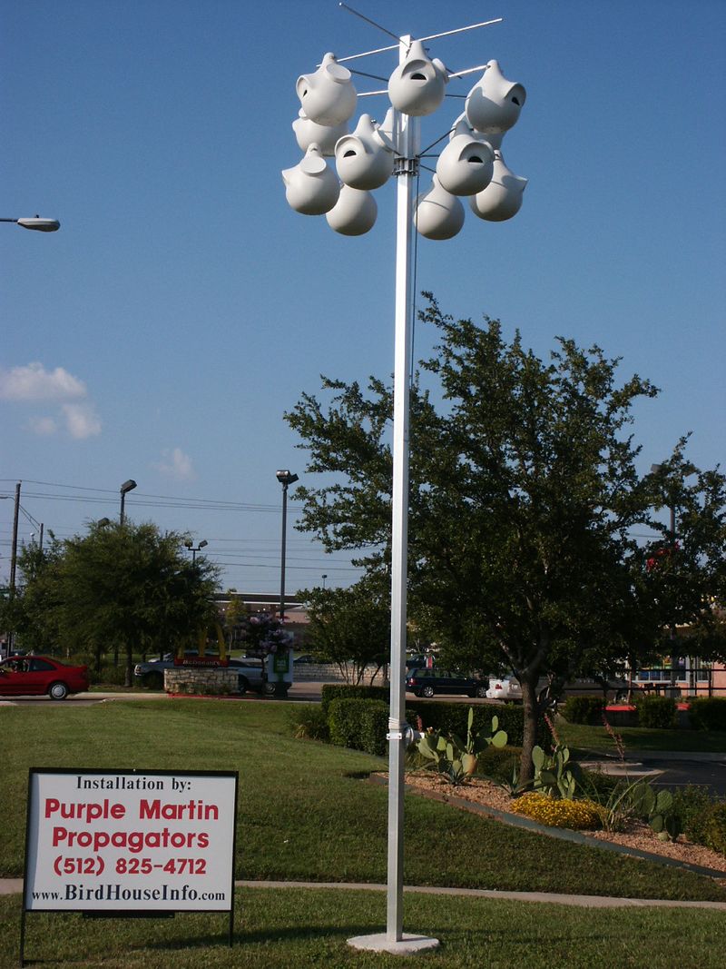 Professional Installation and Smart Placement