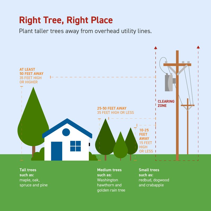 Protect Utilities, Structures, and HVAC Airflow Before You Dig