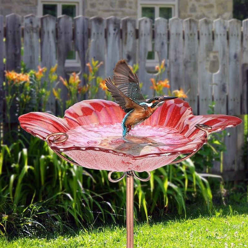 Protect birds around feeders, water, and cover