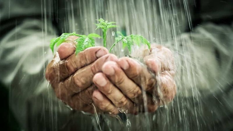 Protect plants, people, and waterways
