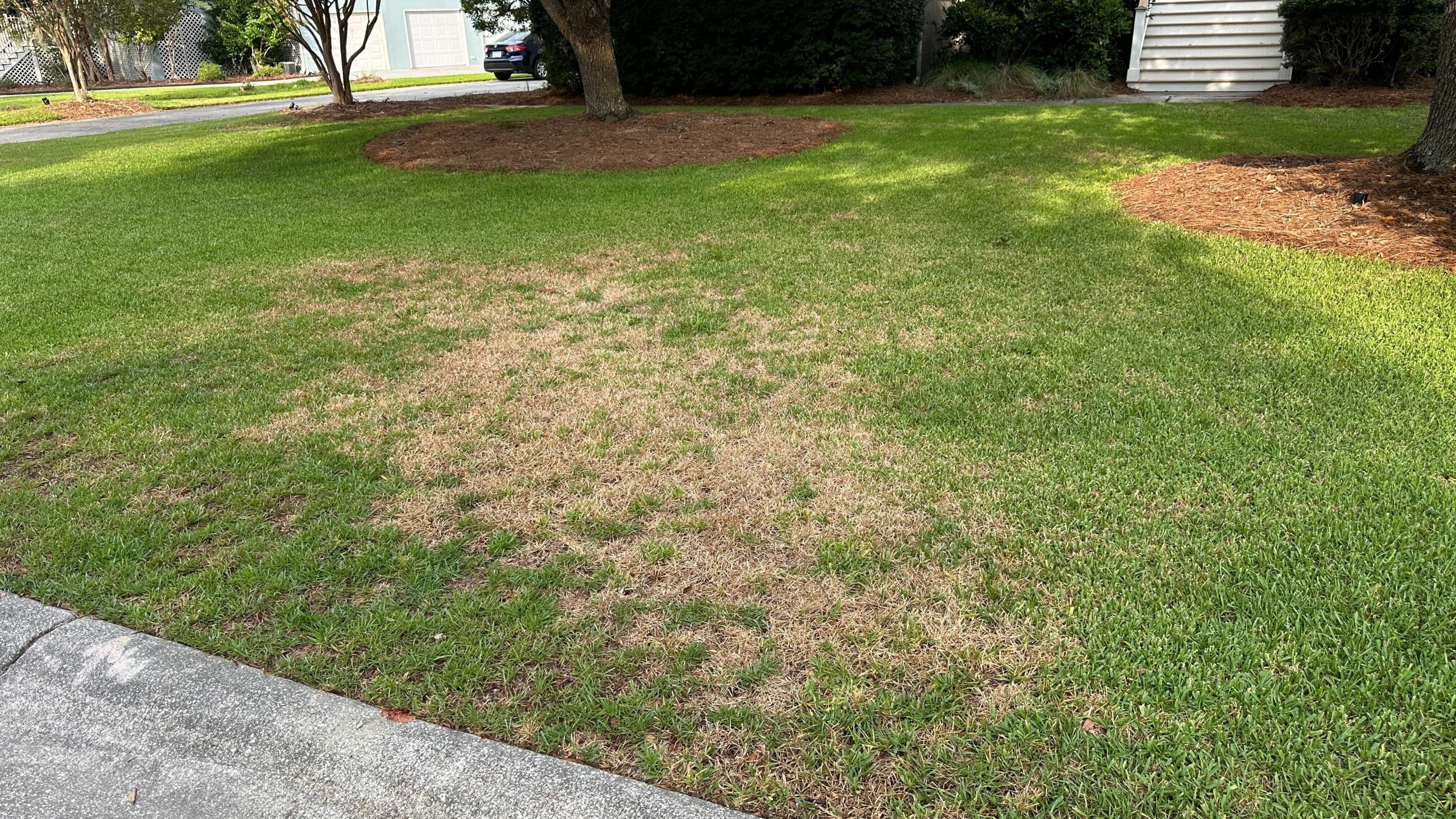 Protect pollinators while strengthening the lawn