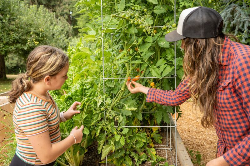 Protect the Leaves and Keep Late-Season Care Steady