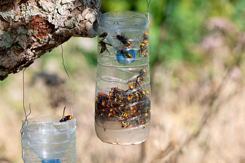 Protect the bird without abandoning pest management Protect the bird without abandoning pest management