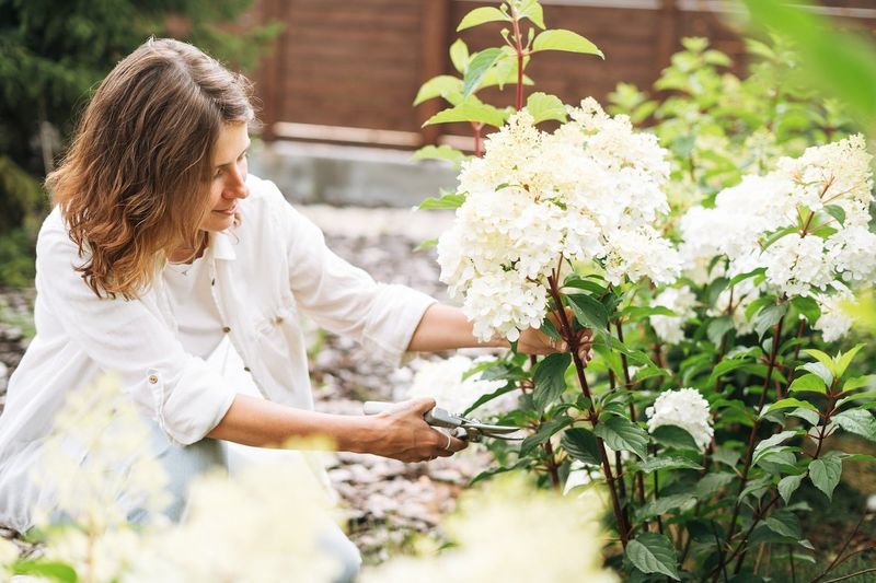Protect the buds, then account for winter and regional conditions