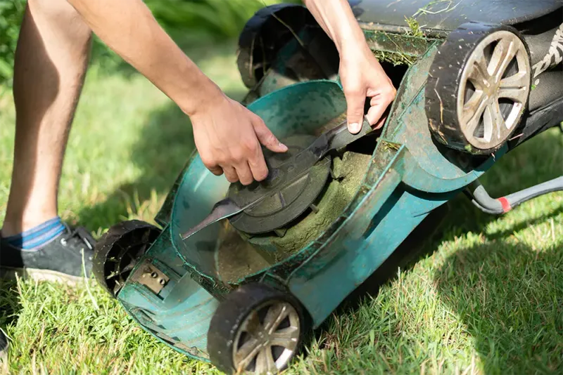 Protect the cut with sharp blades and safe mowing