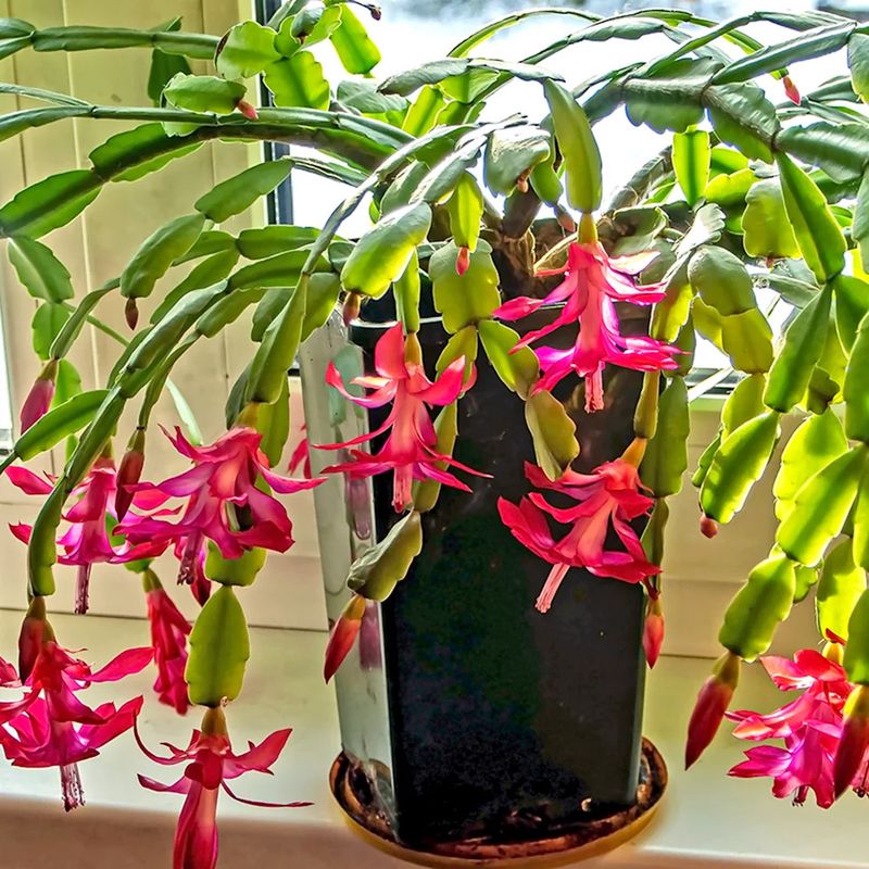 Protect the roots from standing water