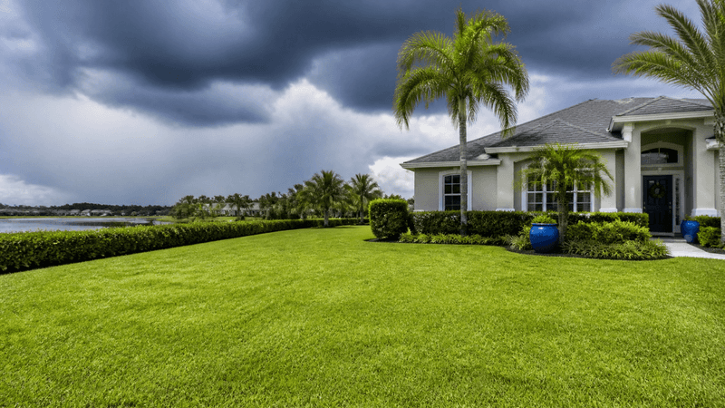 Pruning Too Close to Peak Storm Weather