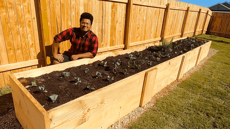 Raise the planting zone before the next wet spell