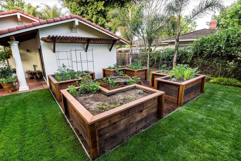 Raised Beds for Herbs and Veggies