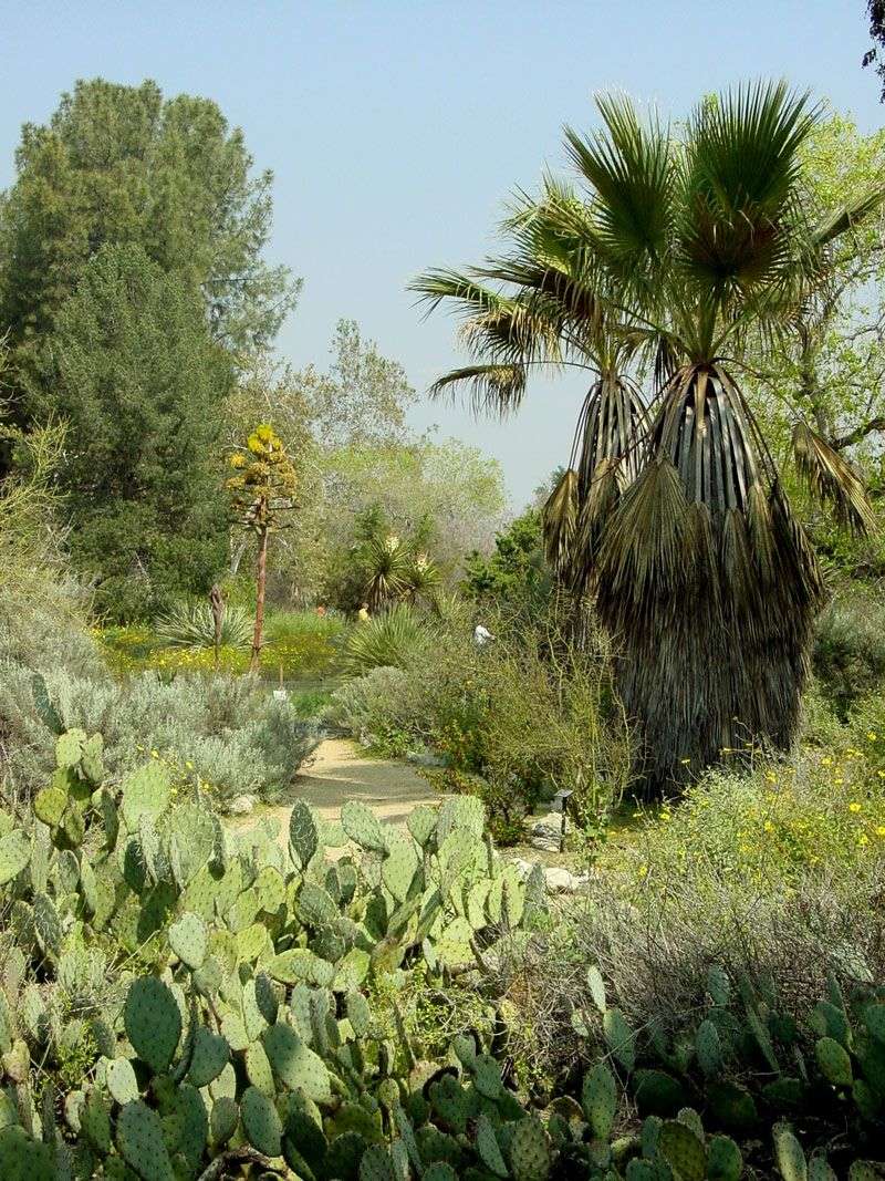 Rancho Santa Ana Botanic Garden, Claremont