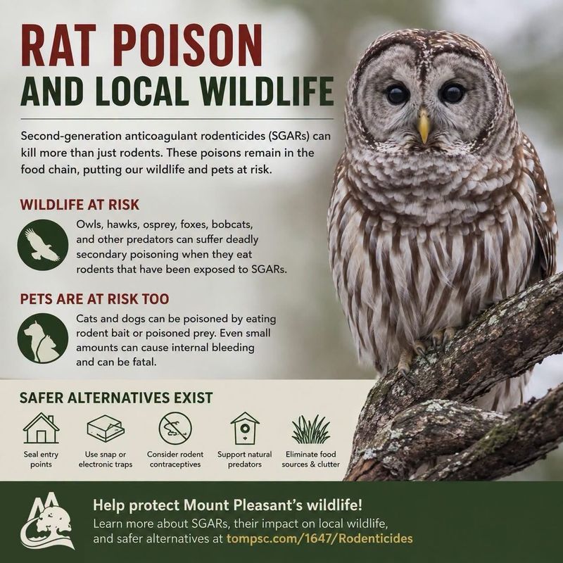 Reaching for Rat Poison as the First Fix