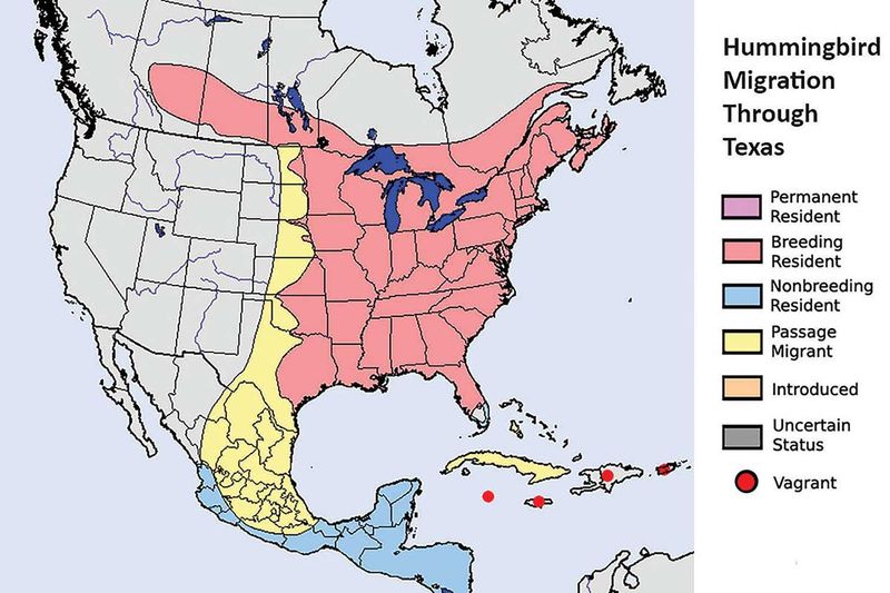 Read Florida and Texas seasons on their own terms