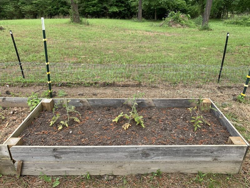 Read what the bed does after rain or irrigation
