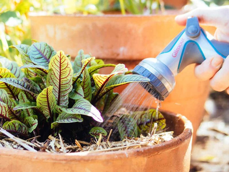 Recheck the pots after the heat breaks