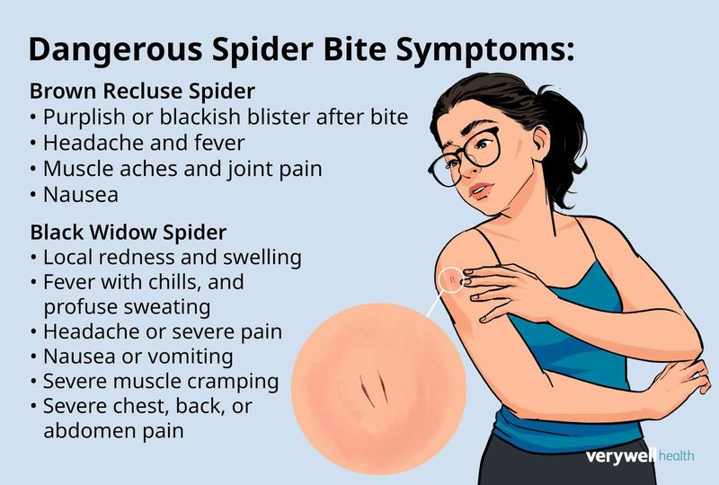 Recognize symptoms that extend beyond the bite site